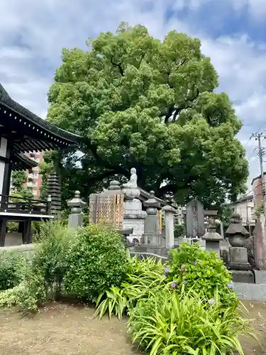 養福寺(東京都)