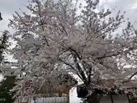 寒河江八幡宮(山形県)