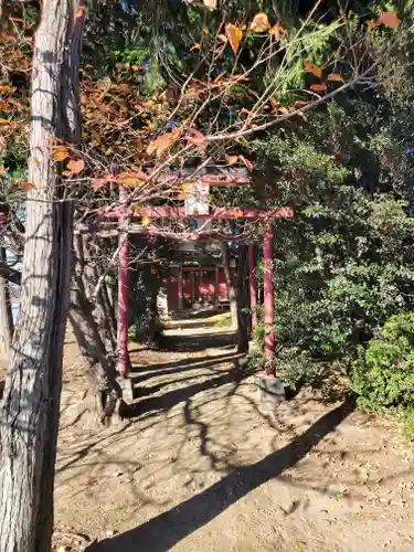 一本松稲荷神社の鳥居