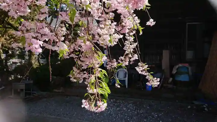 上行寺(山梨県)