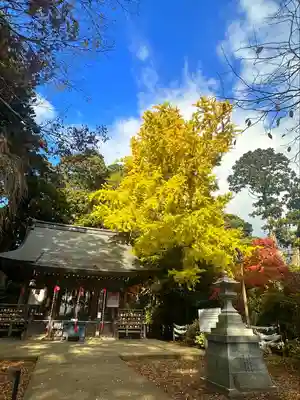 陸奥総社宮(宮城県)