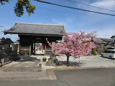 延命院の{uncategorized: "未分類", other: "その他", undefined: "問題あり", building: "その他建物", grave: "お墓", sacred_gate: "鳥居", guardian: "狛犬", statue: "像", buddha: "仏像", history: "歴史", nature: "自然", garden: "庭園", animal: "動物", pagoda: "塔", temizu: "手水舎", mountain_gate: "山門・神門", sanctuary: "本殿・本堂", subordinate: "末社・摂社", art: "芸術", scenery: "景色", jizo: "地蔵", ema: "絵馬", goshuin: "御朱印", omikuji: "おみくじ", items: "授与品その他", amulet: "お守り", goshuincho: "御朱印帳", eats: "食事", festival: "お祭り", votive_dance: "神楽", shichigosan: "七五三参", wedding: "結婚式", experience: "体験その他", initially: "初詣", around: "周辺", anti_infection: "感染症対策"}