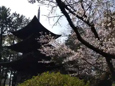 三明寺(愛知県)