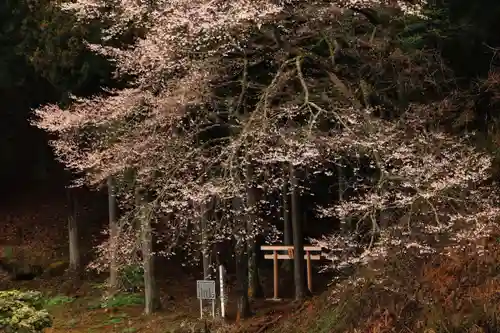 磯前神社の鳥居