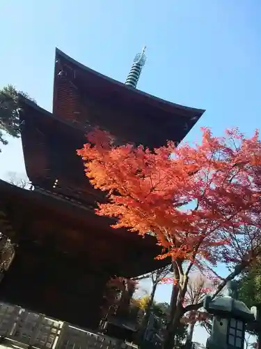 豪徳寺の塔