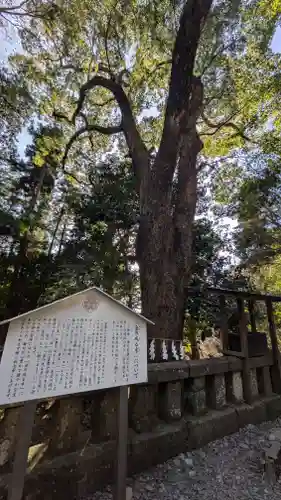 久能山東照宮(静岡県)