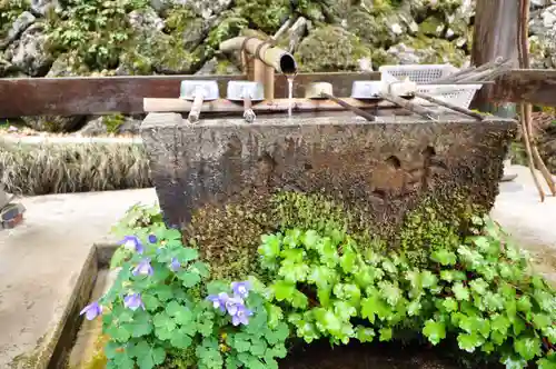 横峰寺(愛媛県)