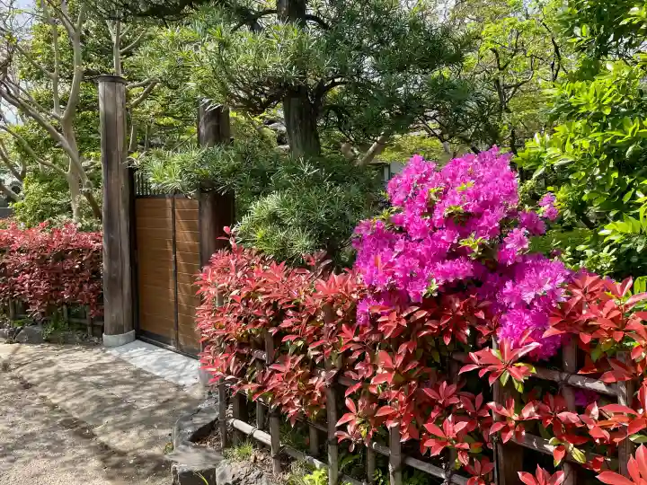 薬王院の{uncategorized: "未分類", other: "その他", undefined: "問題あり", building: "その他建物", grave: "お墓", sacred_gate: "鳥居", guardian: "狛犬", statue: "像", buddha: "仏像", history: "歴史", nature: "自然", garden: "庭園", animal: "動物", pagoda: "塔", temizu: "手水舎", mountain_gate: "山門・神門", sanctuary: "本殿・本堂", subordinate: "末社・摂社", art: "芸術", scenery: "景色", jizo: "地蔵", ema: "絵馬", goshuin: "御朱印", omikuji: "おみくじ", items: "授与品その他", amulet: "お守り", goshuincho: "御朱印帳", eats: "食事", festival: "お祭り", votive_dance: "神楽", shichigosan: "七五三参", wedding: "結婚式", experience: "体験その他", initially: "初詣", around: "周辺", anti_infection: "感染症対策"}