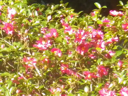 東勝寺跡の自然