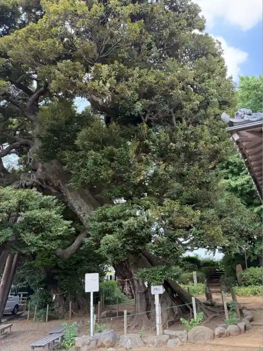 九重神社(埼玉県)