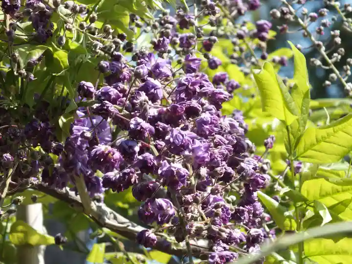 志那神社のその他建物