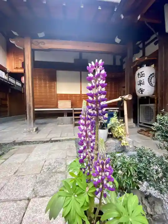 極楽寺(京都府)