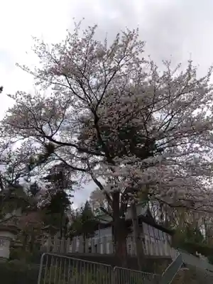 熊野神社(福井県)