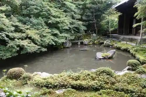 蓮華寺（洛北蓮華寺）の庭園