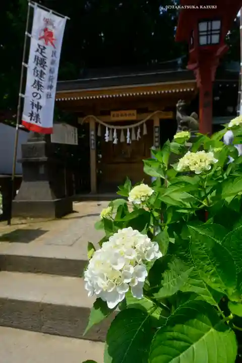川越八幡宮(埼玉県)
