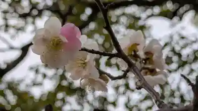 智積院(京都府)