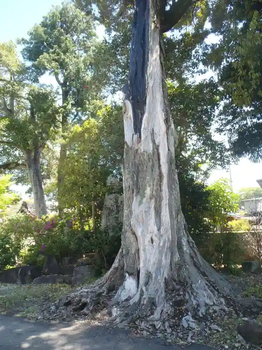 善宿寺(愛知県)