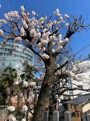 聖輪寺の{uncategorized: "未分類", other: "その他", undefined: "問題あり", building: "その他建物", grave: "お墓", sacred_gate: "鳥居", guardian: "狛犬", statue: "像", buddha: "仏像", history: "歴史", nature: "自然", garden: "庭園", animal: "動物", pagoda: "塔", temizu: "手水舎", mountain_gate: "山門・神門", sanctuary: "本殿・本堂", subordinate: "末社・摂社", art: "芸術", scenery: "景色", jizo: "地蔵", ema: "絵馬", goshuin: "御朱印", omikuji: "おみくじ", items: "授与品その他", amulet: "お守り", goshuincho: "御朱印帳", eats: "食事", festival: "お祭り", votive_dance: "神楽", shichigosan: "七五三参", wedding: "結婚式", experience: "体験その他", initially: "初詣", around: "周辺", anti_infection: "感染症対策"}