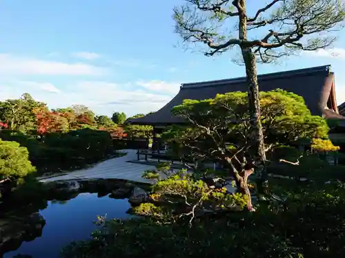 仁和寺の庭園