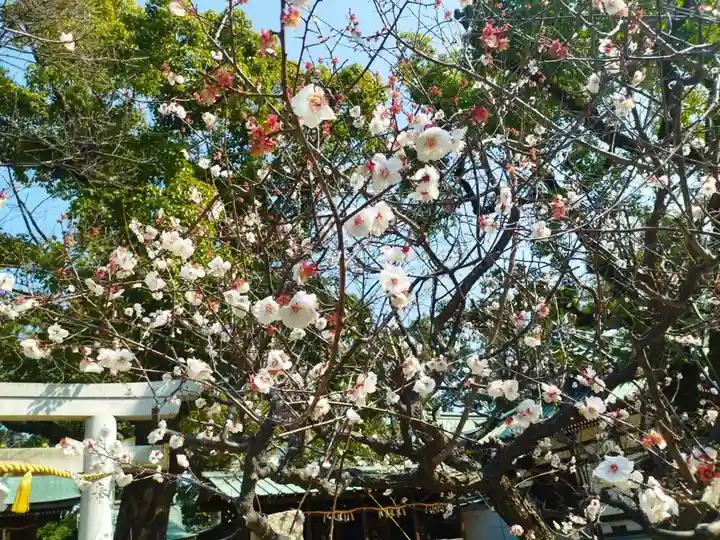 屯倉神社(大阪府)