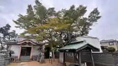 荒神社(徳島県)