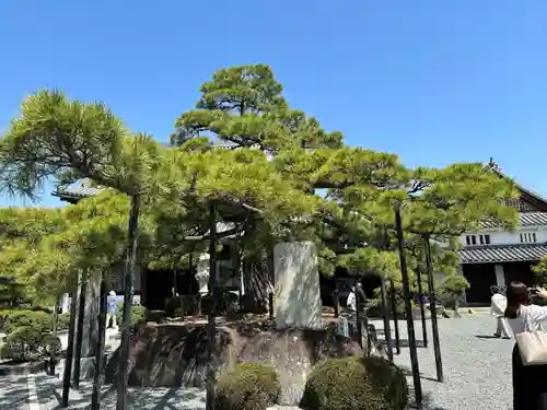 花岳寺(兵庫県)