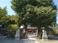 亀ケ池八幡宮(神奈川県)