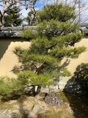 大光院(京都府)