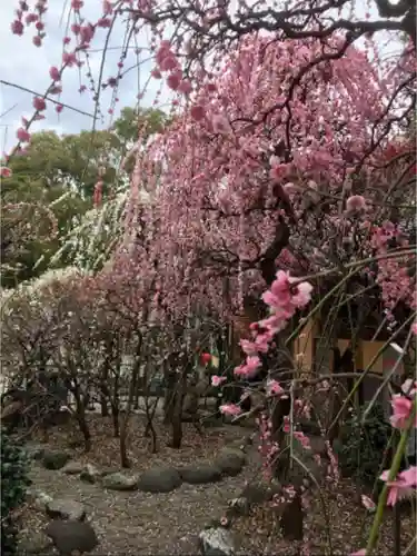 小村井 香取神社の庭園