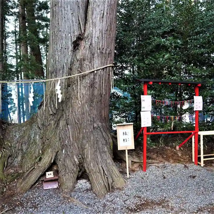 坪沼八幡神社の自然