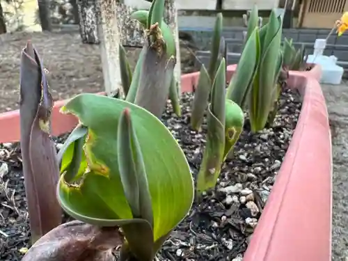大宮温泉神社の自然