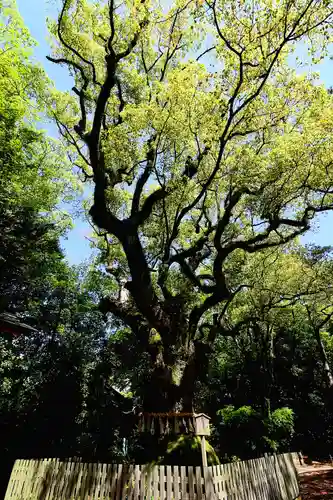 熱田神宮(愛知県)