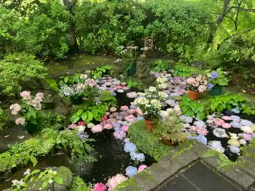 長谷寺(神奈川県)