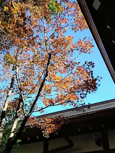 阿佐ヶ谷神明宮(東京都)