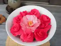 今市報徳二宮神社(栃木県)