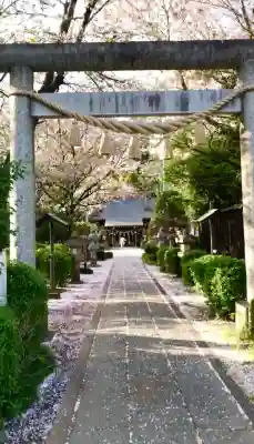 長宮氷川神社(埼玉県)