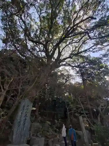 太宰府天満宮(福岡県)