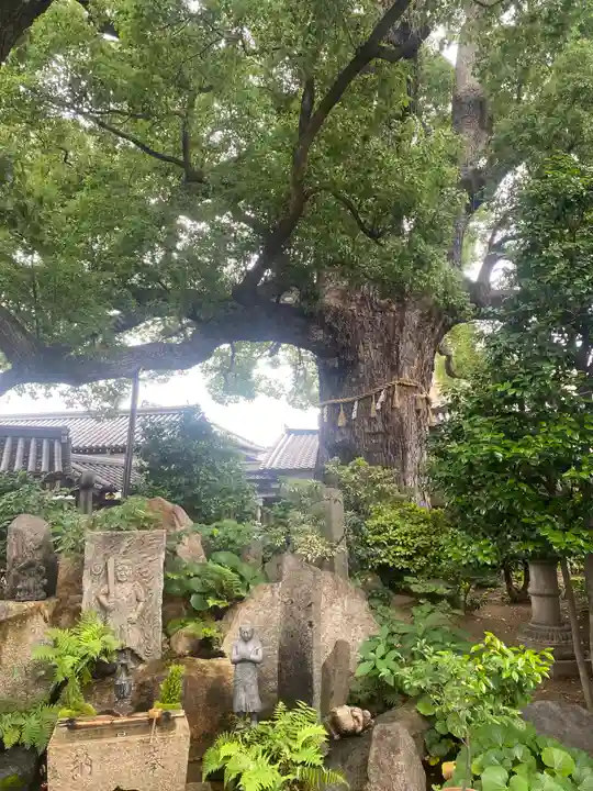 法楽寺(大阪府)