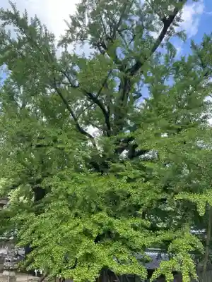 岩部八幡神社(香川県)