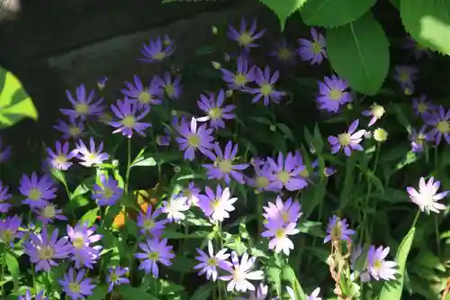 阿邪訶根神社の庭園