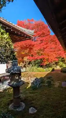 源光庵(京都府)