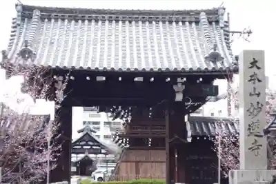 妙蓮寺(京都府)