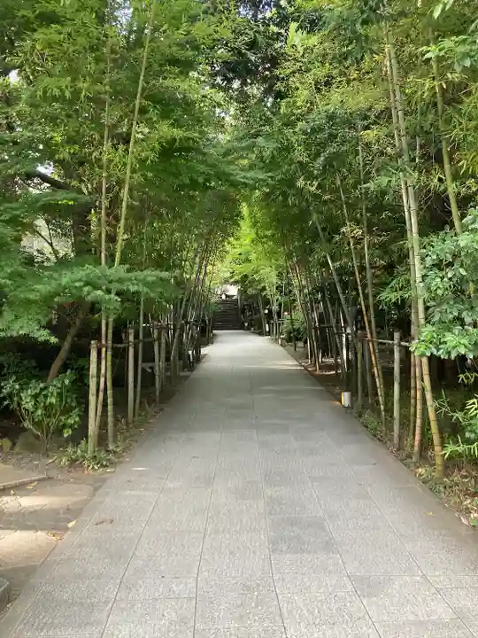 來宮神社(静岡県)