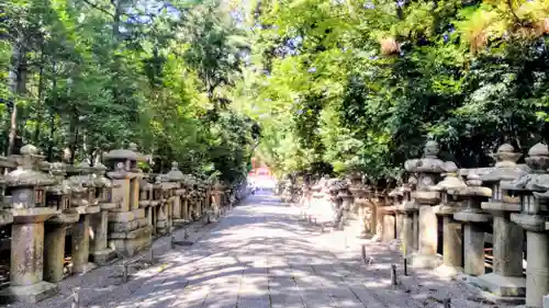 石清水八幡宮(京都府)
