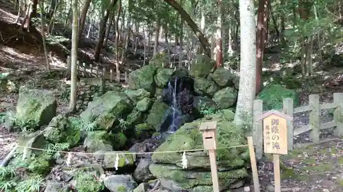 出雲大神宮の自然