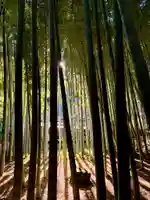 報国寺(神奈川県)