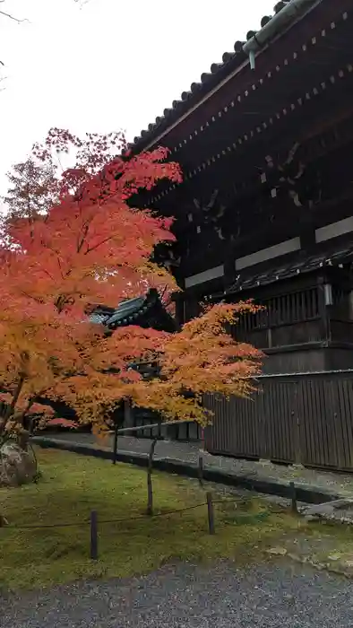 真正極楽寺（真如堂）の建物その他