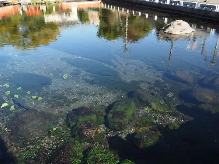 富士山本宮浅間大社の自然
