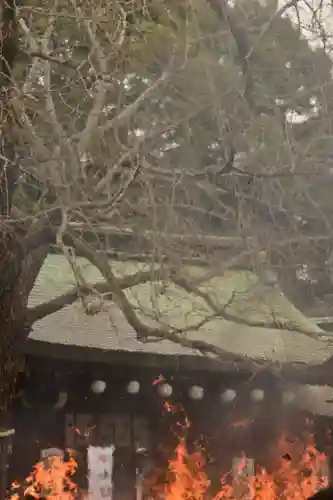 大宮八幡宮の初詣