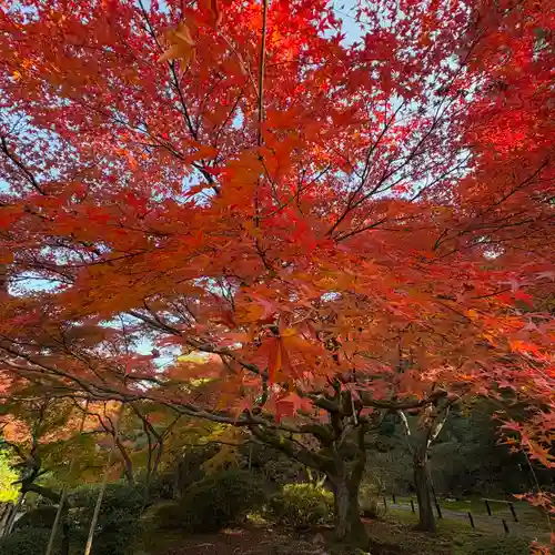 青蓮院門跡(京都府)